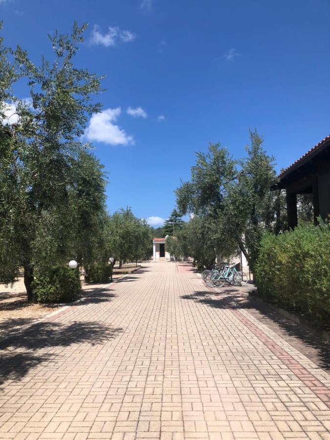 Tenuta Montincello فيستَ المظهر الخارجي الصورة