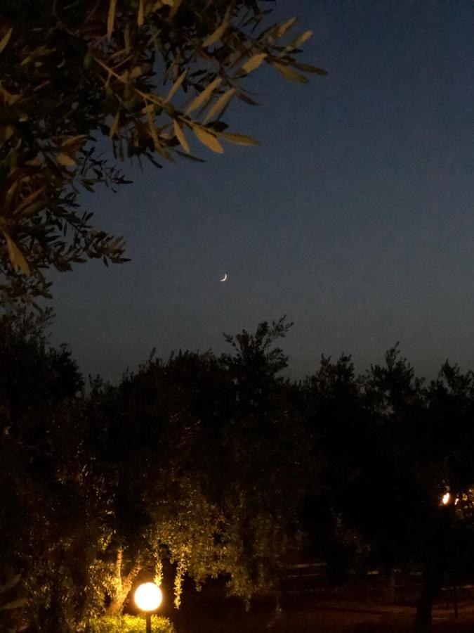 Tenuta Montincello فيستَ المظهر الخارجي الصورة